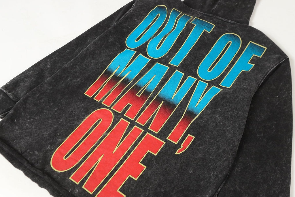 Godspeed Out of Many One Washed Graphic Hoodie ¡ª detail