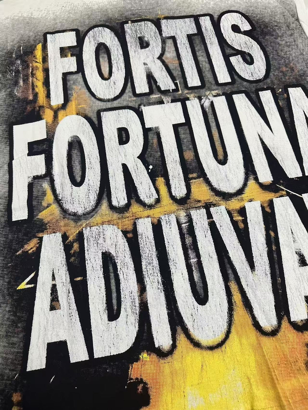 Godspeed Fortis Fortuna Adiuvat Graphic T-Shirt ¡ª detail