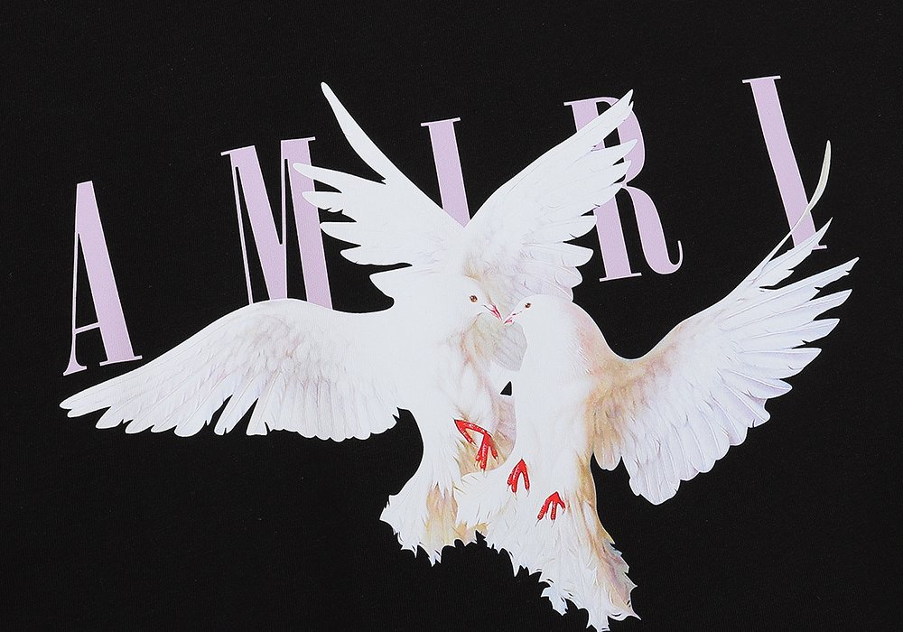 AMIRI Dove Graphic Short-Sleeve T-Shirt ¡ª detail
