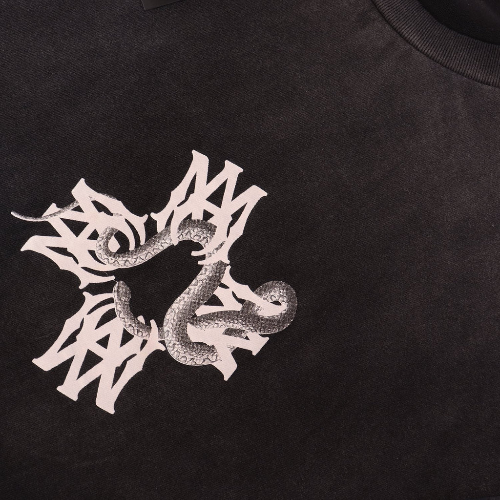 AMIRI Snake Graphic Washed T-Shirt ¡ª detail