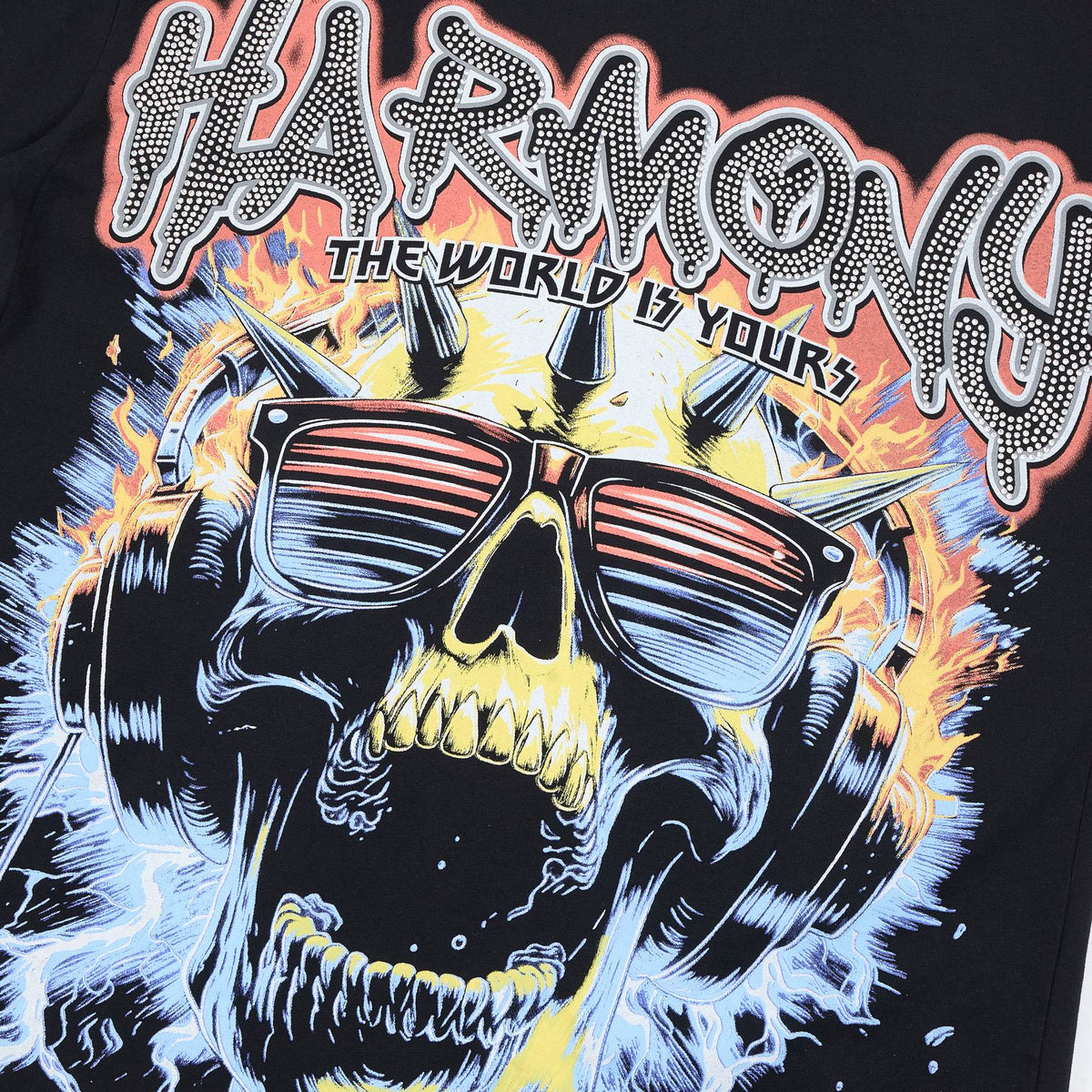 HARMONY Skull Graphic Short-Sleeve T-Shirt ¡ª detail