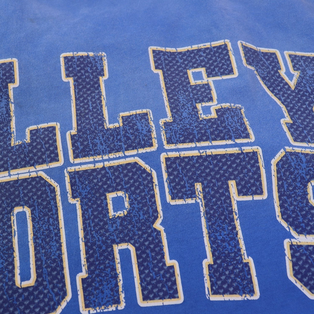 Valley Dreams Sports Division Graphic Short-Sleeve T-Shirt ¡ª detail