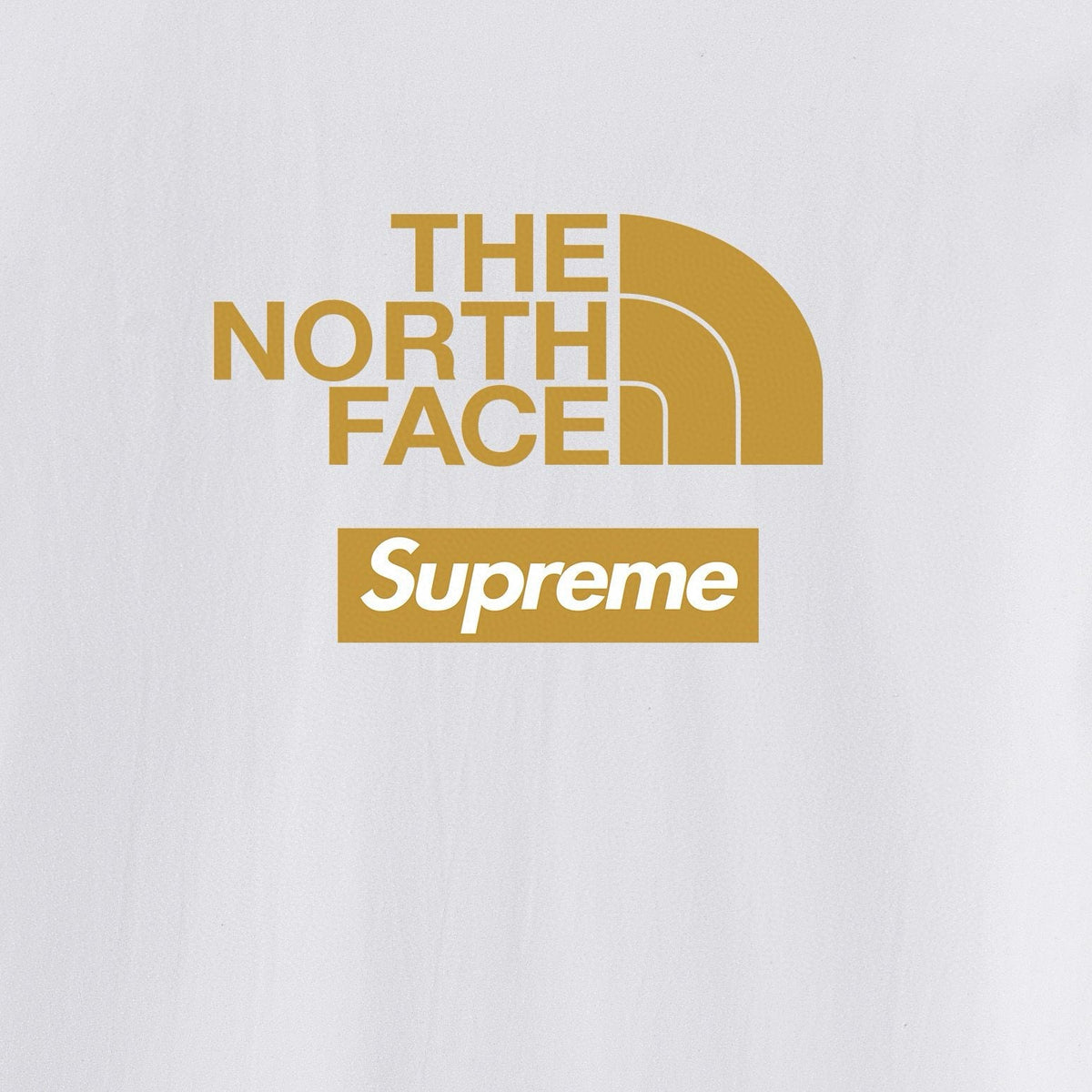 Supreme Mountain Back Graphic Short-Sleeve T-Shirt ¡ª fabric_closeup