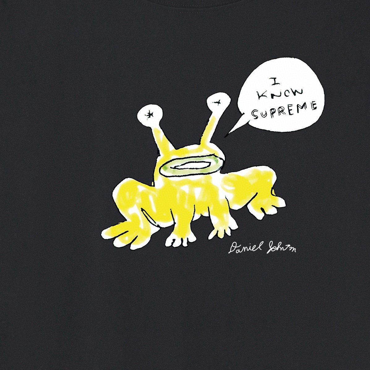 Supreme Frog Graphic Short-Sleeve T-Shirt ¡ª detail