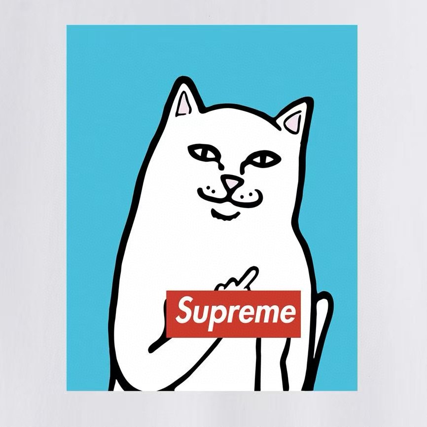Supreme Cat Graphic Short-Sleeve T-Shirt ¡ª detail