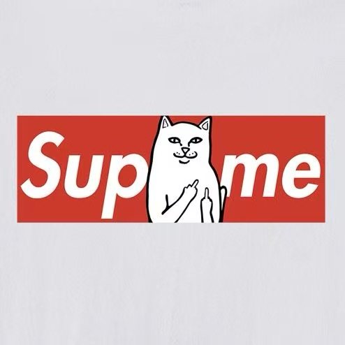 Supreme Cat Graphic Short-Sleeve T-Shirt ¡ª detail