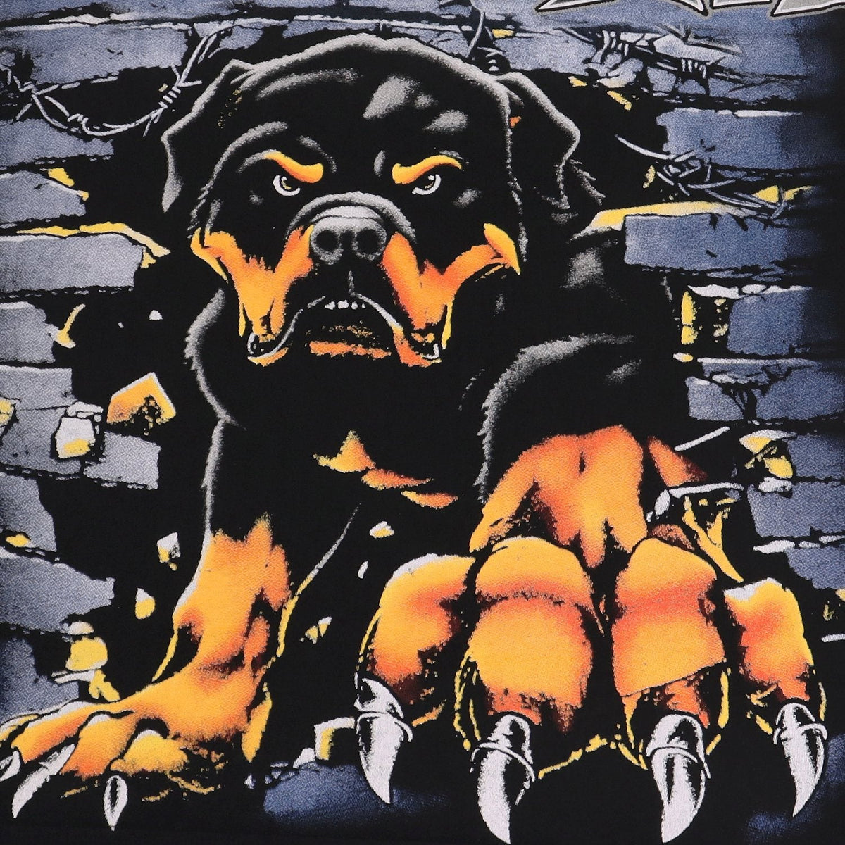 Valley Dreams Rottweiler Graphic Washed Black T-Shirt ¡ª detail