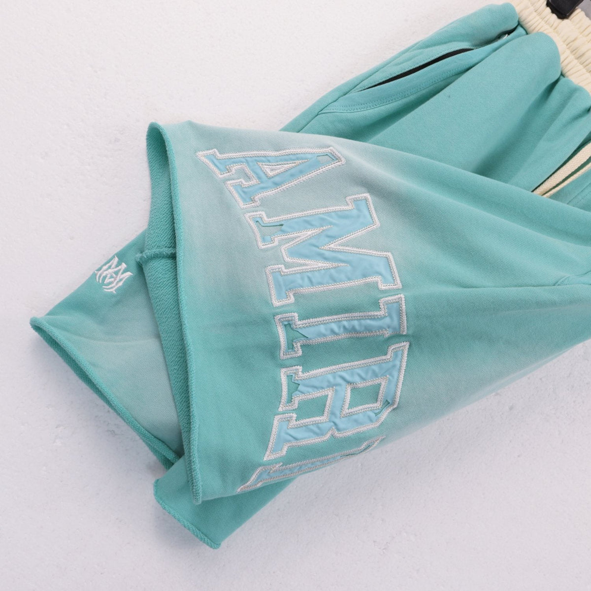 AMIRI Vintage Collegiate Graphic Shorts ¡ª detail