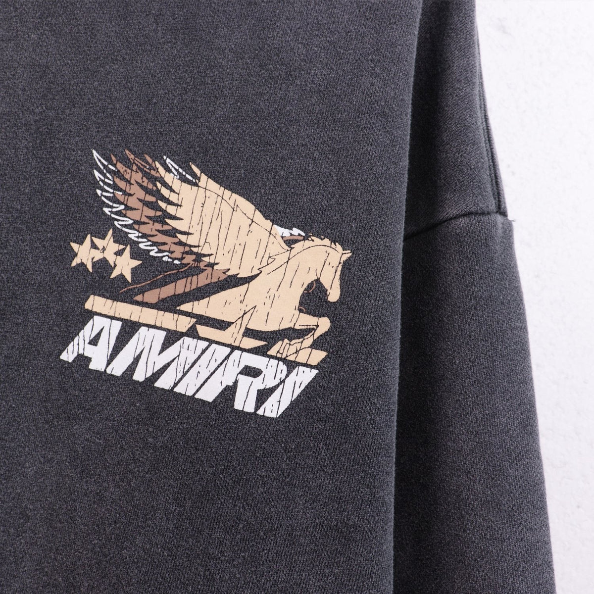 AMIRI Pegasus Graphic Hoodie ¡ª detail