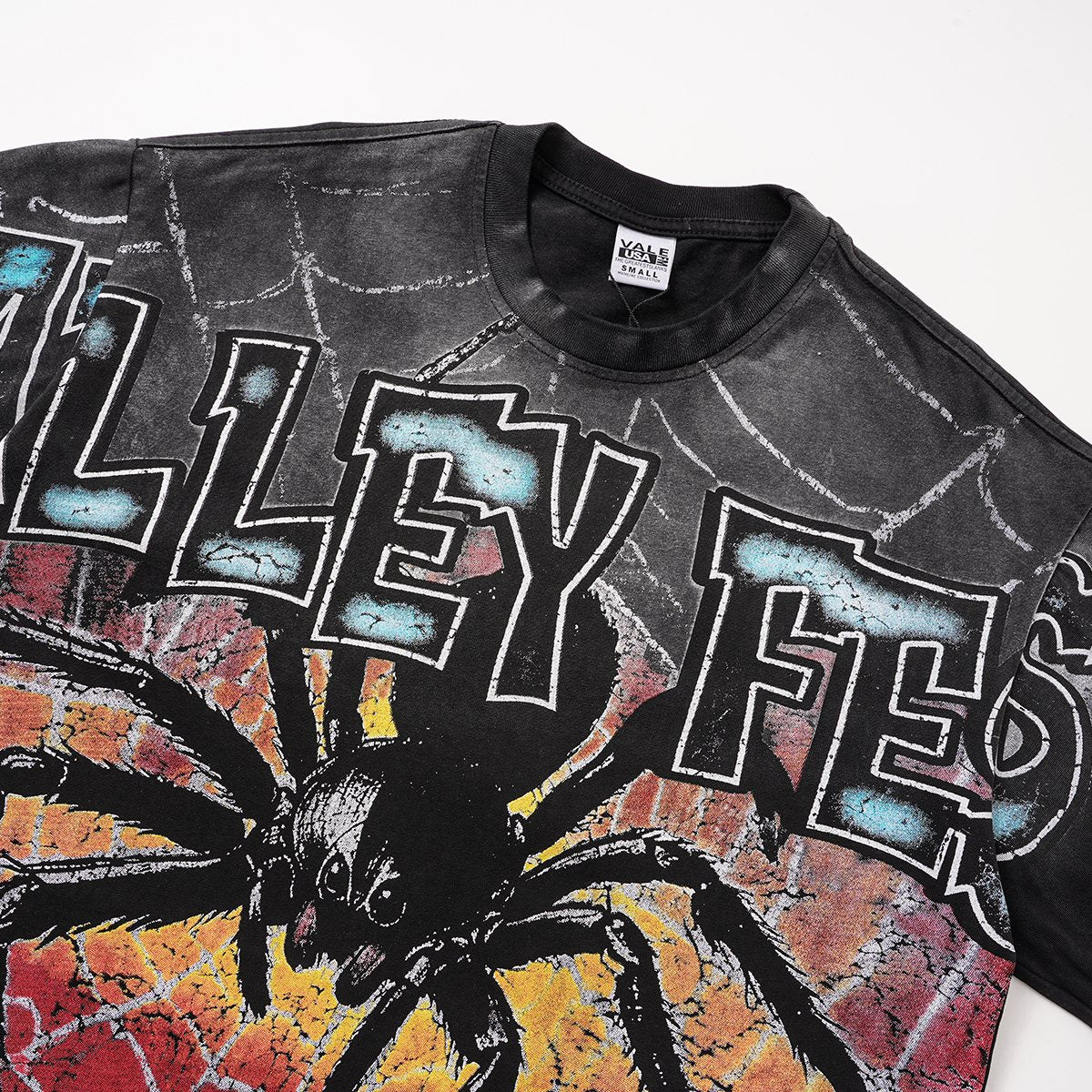 VALLEY Fest Spider Web Graphic T-Shirt ¡ª detail