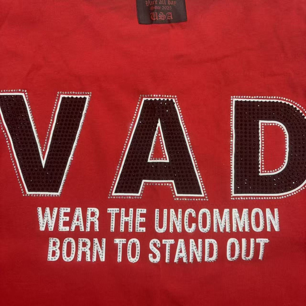 VARE ALL DAY Red Color Block Graphic T-Shirt ¡ª detail
