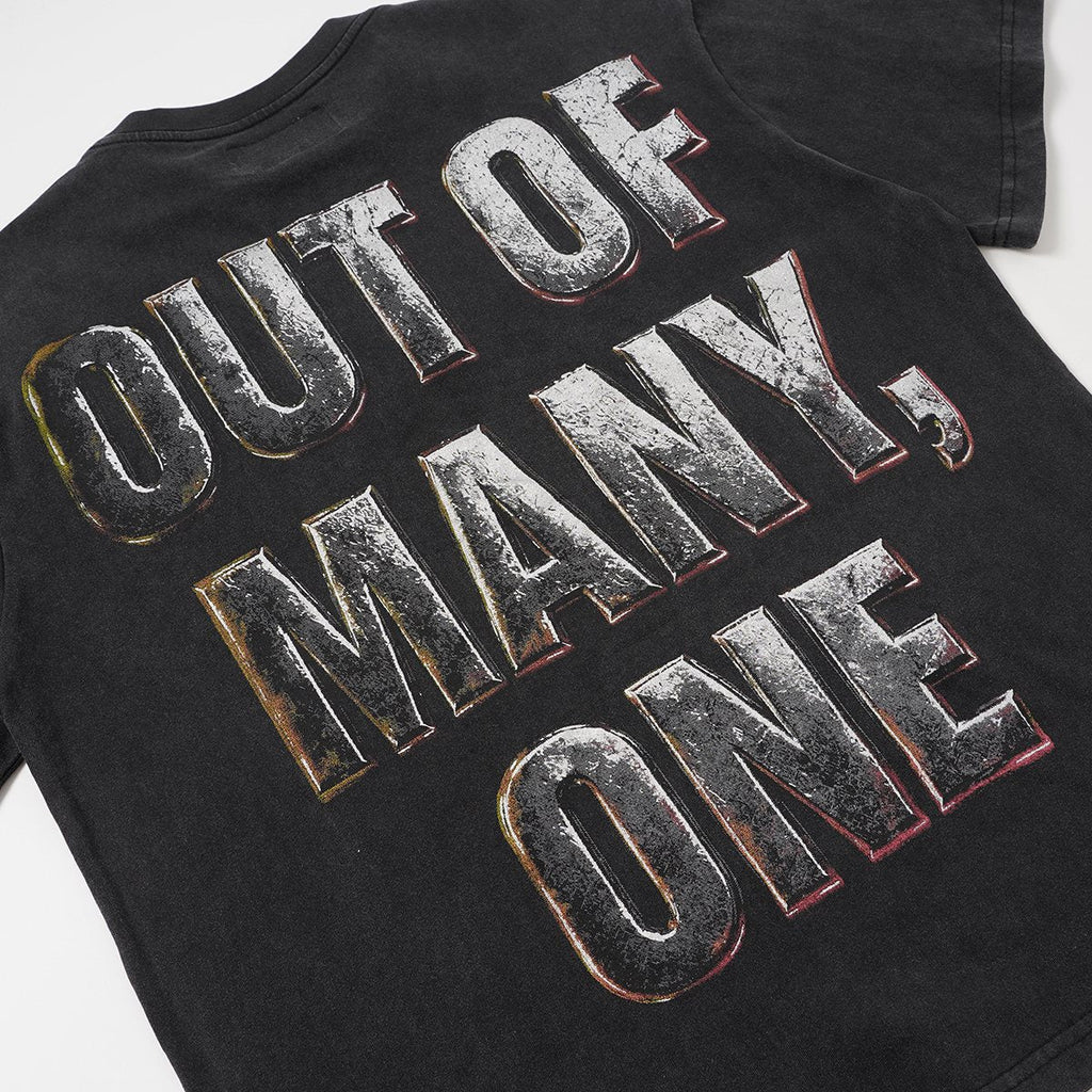 Godspeed Out of Many One Skull Graphic T-Shirt ¡ª detail